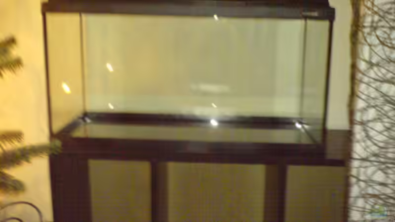 Aquarium ohne Inhalt von Dornauge xxl (4)