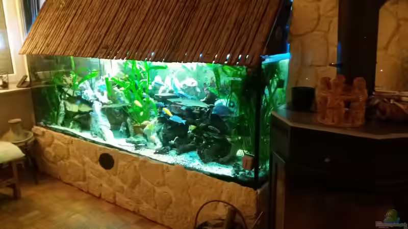 Aquarium Old school Becken von Angelo Nardello (4)