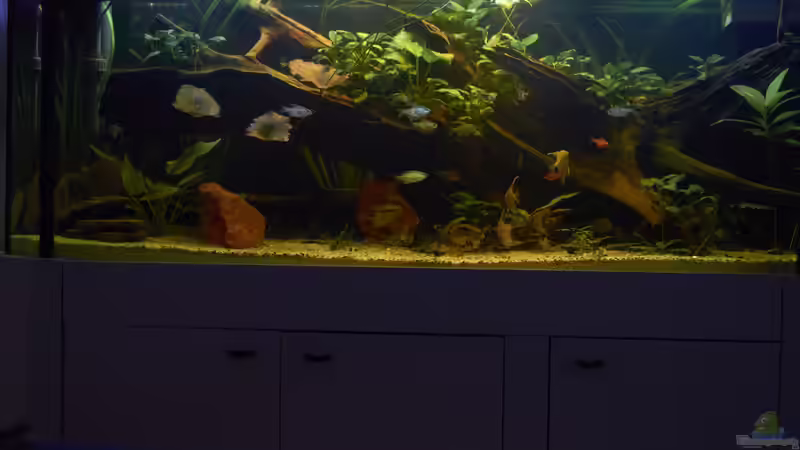 Aquarium Oldschool Panorama von Enrico Friedrich (10)