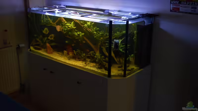 Aquarium Oldschool Panorama von Enrico Friedrich (4)