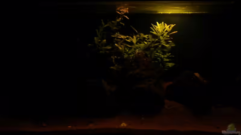 Aquarium OPEN WORLD ² von I.R.C.H.A (3)