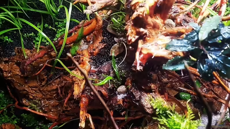 Aquarium Out of the dark- Into the sunset von JalaRoki (11)