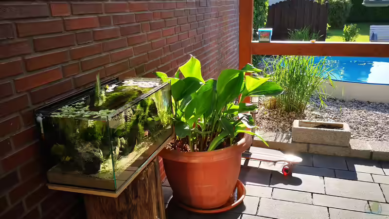 Aquarium Outdoorbecken von Heike Fuchs (3)