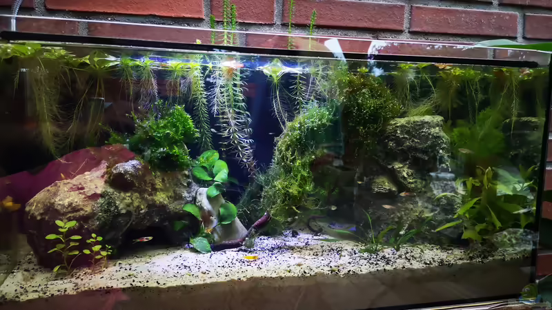 Aquarium Outdoorbecken von Heike Fuchs (4)