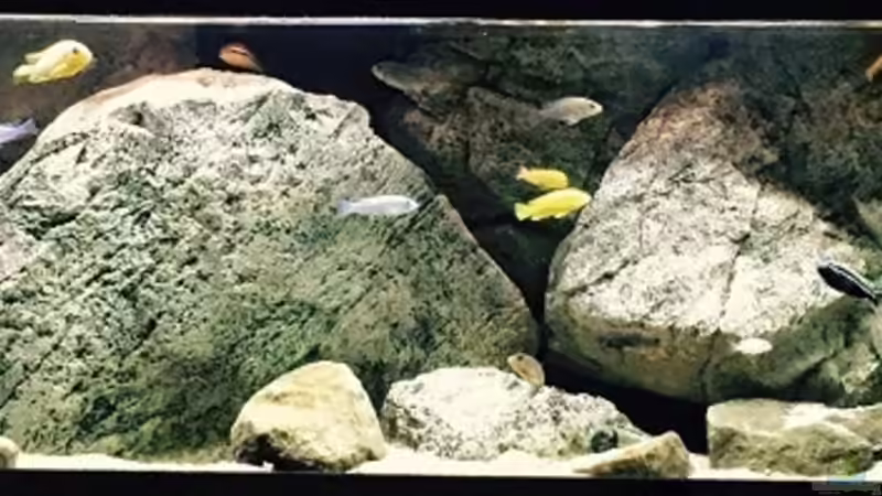 Aquarium pakati pa miyala von TheToxicAvenger (4)