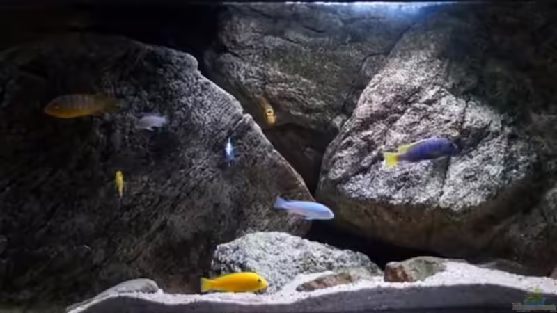 Aquarium pakati pa miyala von TheToxicAvenger (5)