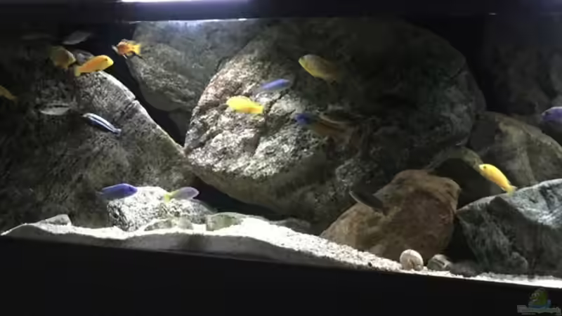 Aquarium pakati pa miyala von TheToxicAvenger (7)
