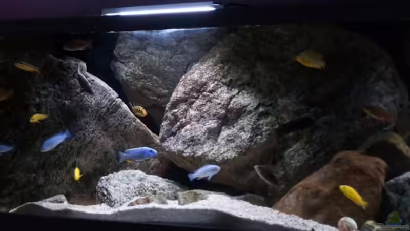 Aquarium pakati pa miyala von TheToxicAvenger (9)