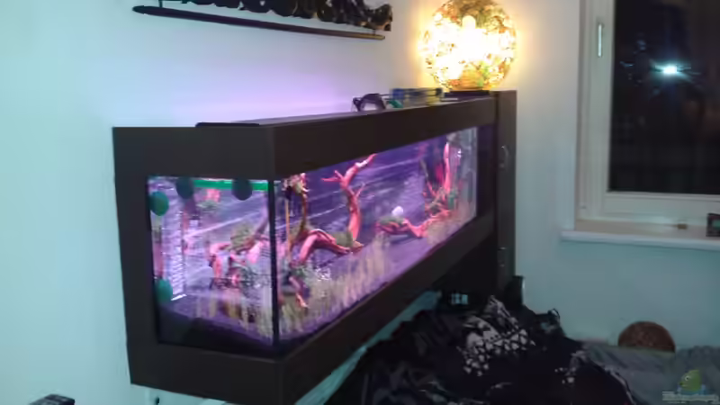 Aquarium Panorama Dream von Bjarke (3)