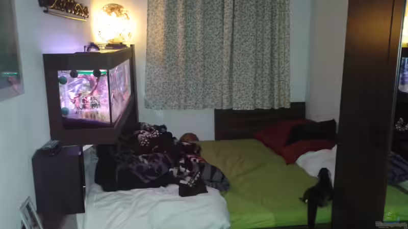 Aquarium Panorama Dream von Bjarke (4)