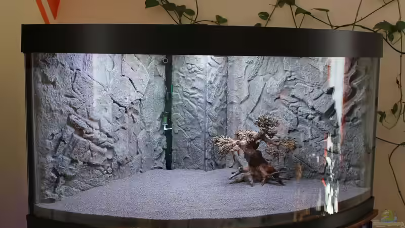 Aquarium Paradise Edge Obsolete von The_Lizardking (13)