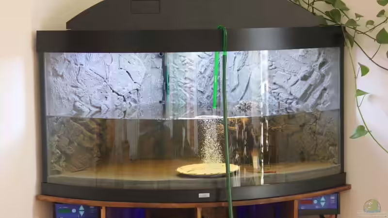 Aquarium Paradise Edge Obsolete von The_Lizardking (14)