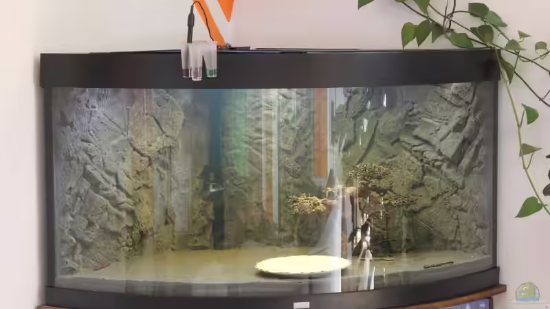 Aquarium Paradise Edge Obsolete von The_Lizardking (16)