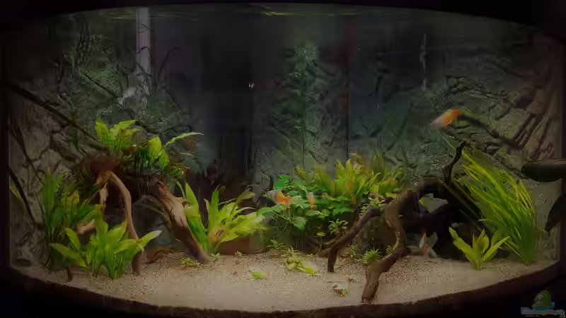 Aquarium Paradise Edge Obsolete von The_Lizardking (2)