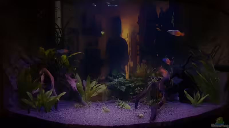 Aquarium Paradise Edge Obsolete von The_Lizardking (6)