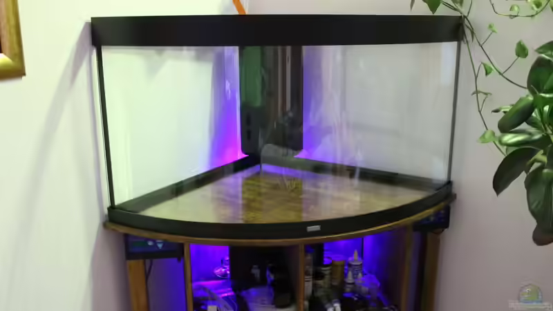 Aquarium Paradise Edge Obsolete von The_Lizardking (8)