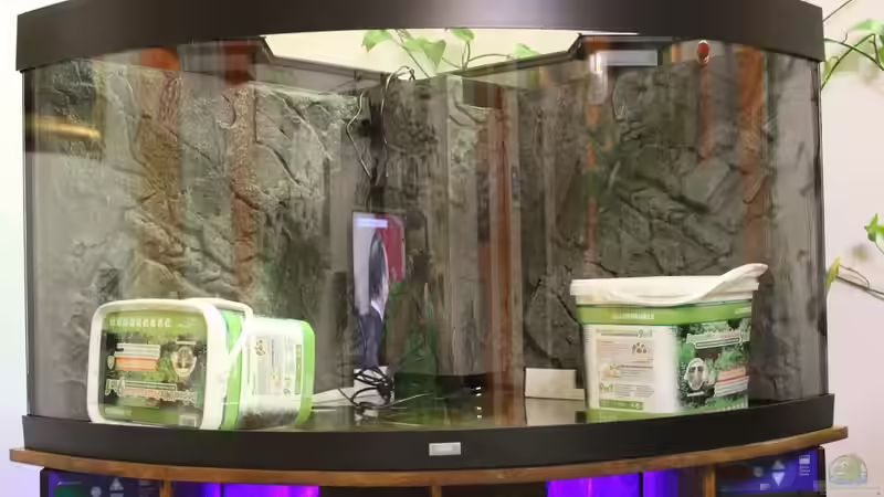 Aquarium Paradise Edge Obsolete von The_Lizardking (9)