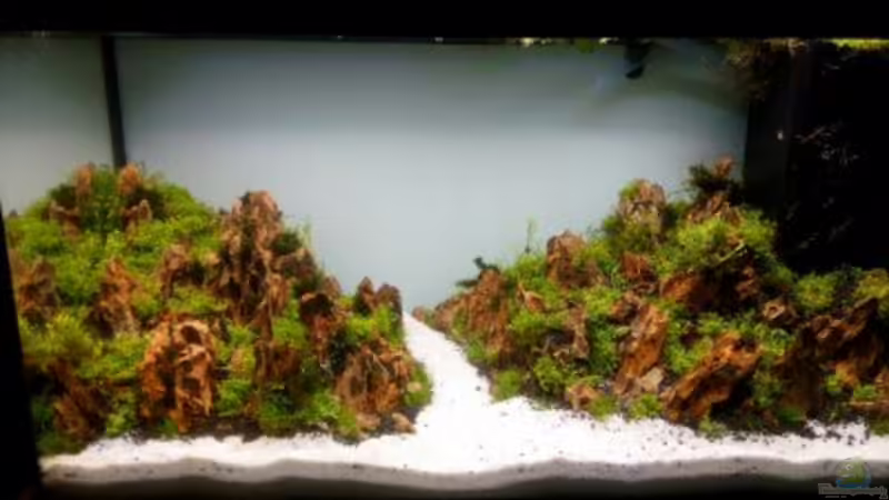 Aquarium Paradise von Scaper (10)