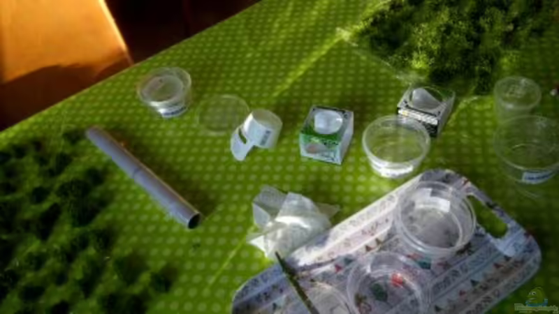 Aquarium Paradise von Scaper (6)