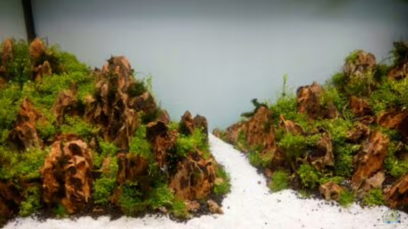 Aquarium Paradise von Scaper (9)