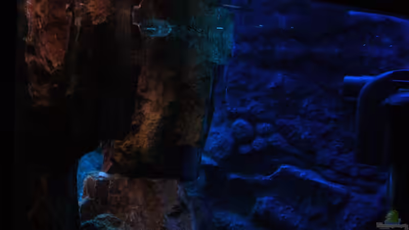 Aquarium Perspektive (18.06.2012) von Marcel. (6)