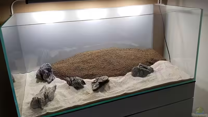 Aquarium Pflanzenwelt ReLoaded von YoshiMaus (6)