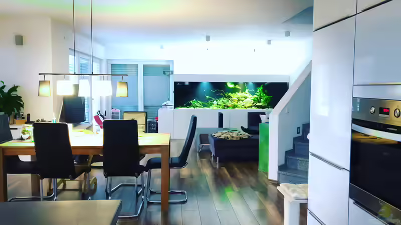 Aquarium Piranha-Aquarium von Cariba (12)