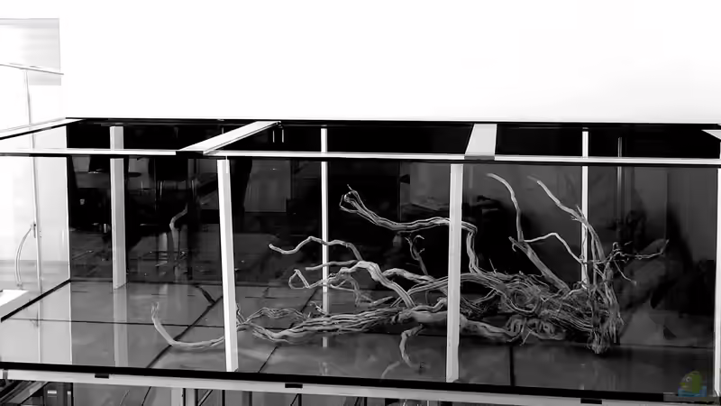 Aquarium Piranha-Aquarium von Cariba (3)