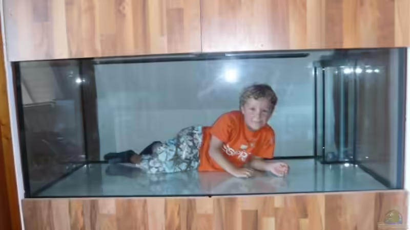 Aquarium Piranha Becken von lumpi (4)