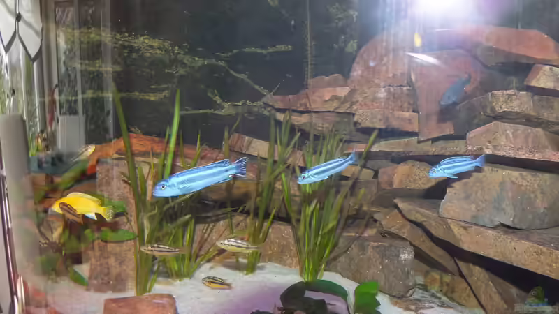 Aquarium Porphyr Rocks von Slay (6)