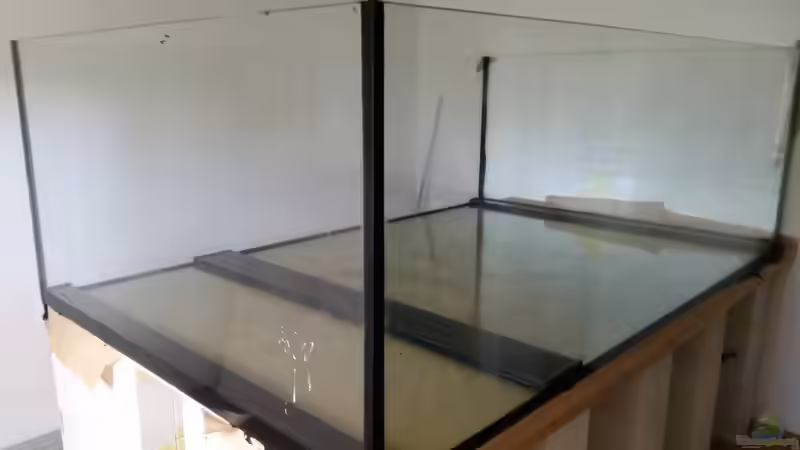 Aquarium Predator Tank (Nur noch als Beispiel) von Bernd N. (10)