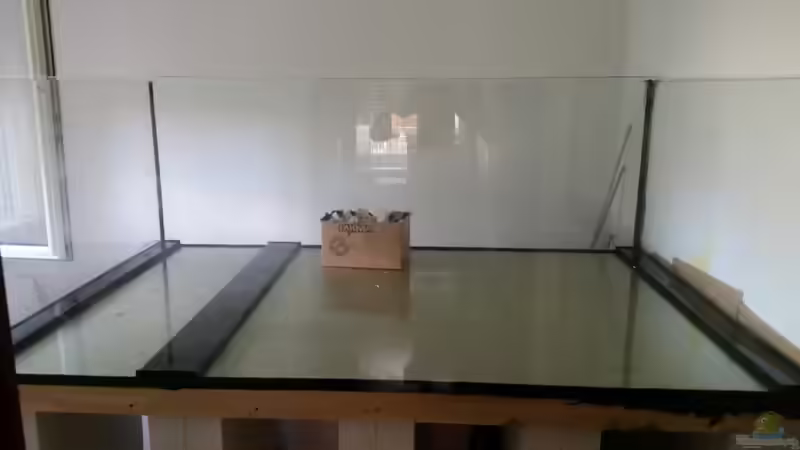 Aquarium Predator Tank (Nur noch als Beispiel) von Bernd N. (11)