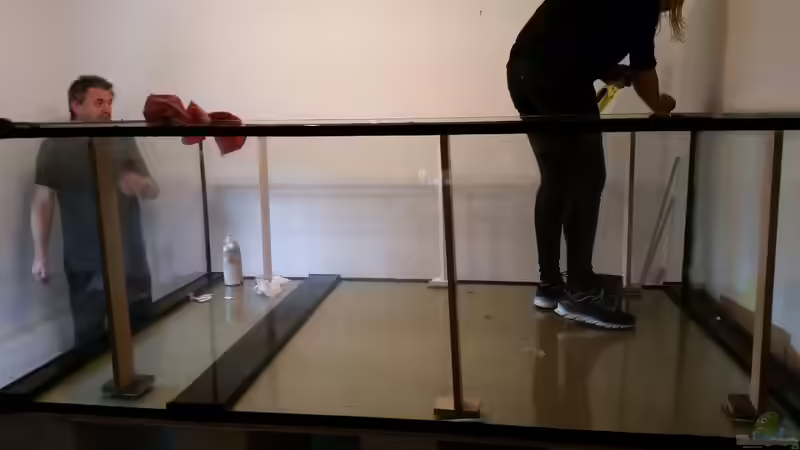 Aquarium Predator Tank (Nur noch als Beispiel) von Bernd N. (13)