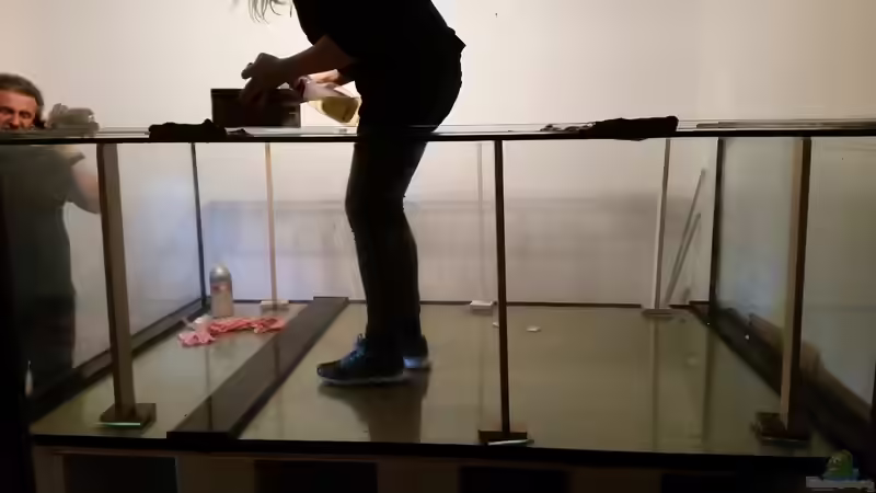 Aquarium Predator Tank (Nur noch als Beispiel) von Bernd N. (14)