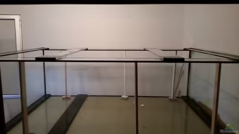 Aquarium Predator Tank (Nur noch als Beispiel) von Bernd N. (15)