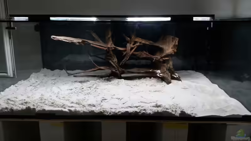Aquarium Predator Tank (Nur noch als Beispiel) von Bernd N. (19)