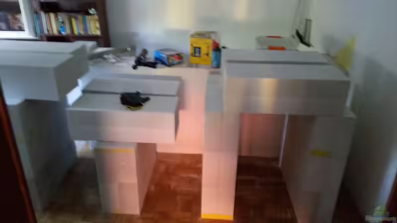 Aquarium Predator Tank (Nur noch als Beispiel) von Bernd N. (2)