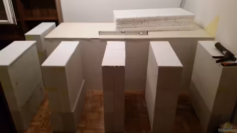 Aquarium Predator Tank (Nur noch als Beispiel) von Bernd N. (3)