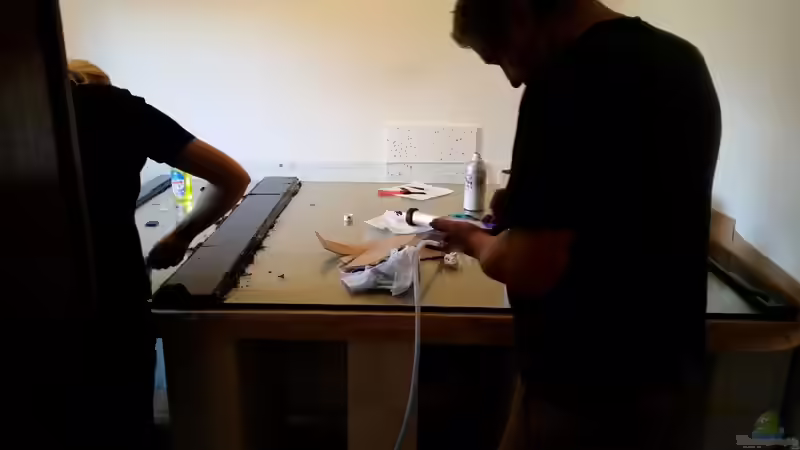 Aquarium Predator Tank (Nur noch als Beispiel) von Bernd N. (5)