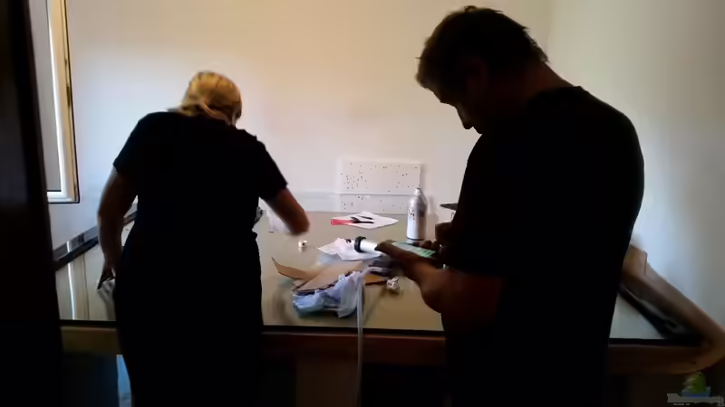 Aquarium Predator Tank (Nur noch als Beispiel) von Bernd N. (6)