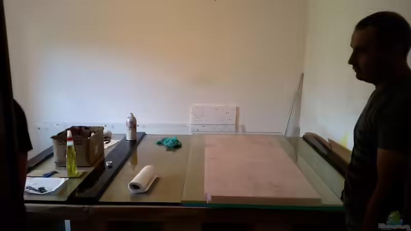 Aquarium Predator Tank (Nur noch als Beispiel) von Bernd N. (7)