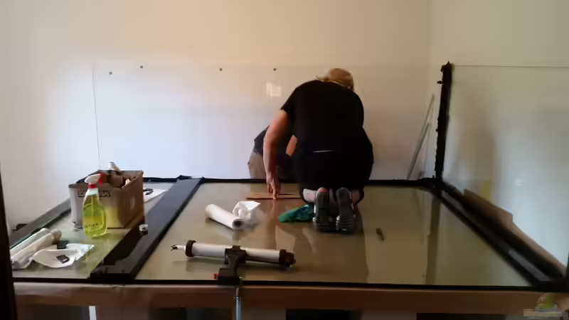 Aquarium Predator Tank (Nur noch als Beispiel) von Bernd N. (8)