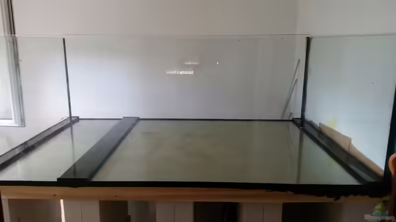 Aquarium Predator Tank (Nur noch als Beispiel) von Bernd N. (9)