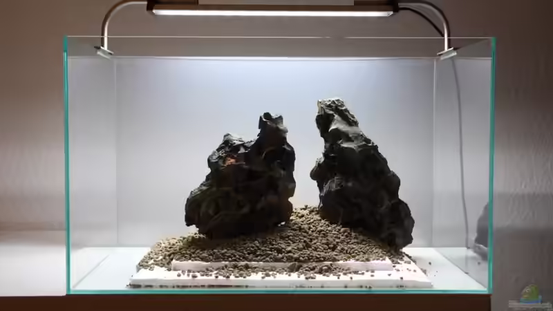 Aquarium Projekt in Planung von Arami Gurami (11)