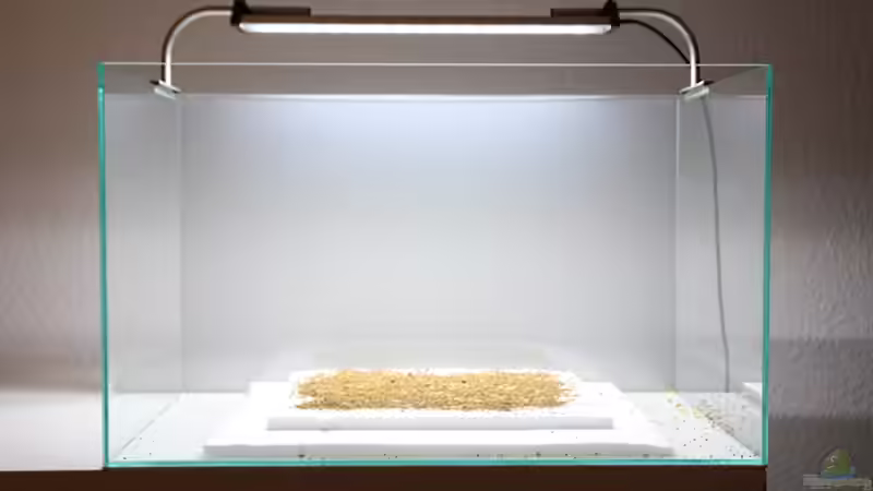 Aquarium Projekt in Planung von Arami Gurami (5)