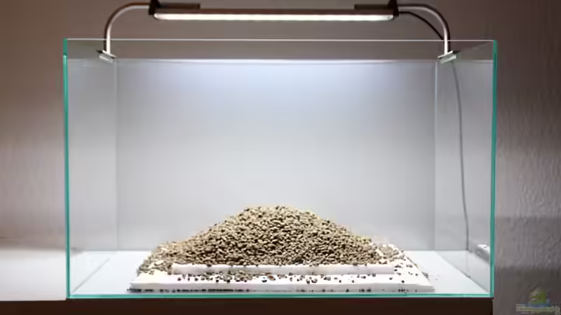 Aquarium Projekt in Planung von Arami Gurami (9)