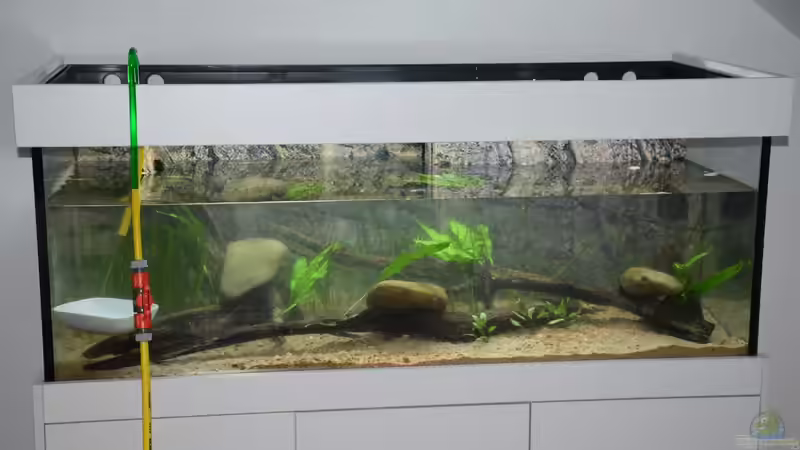 Aquarium Qiupu River von Christian Andreas (3)