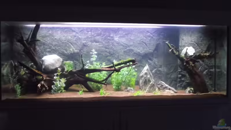 Aquarium Rainbowland (aufgelöst) von Dr. Manhattan (9)