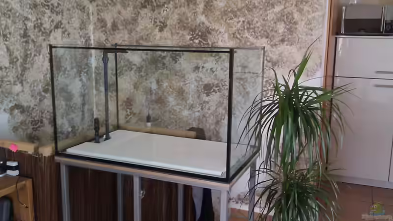 Aquarium Raumteiler von 360° Malawi (2)