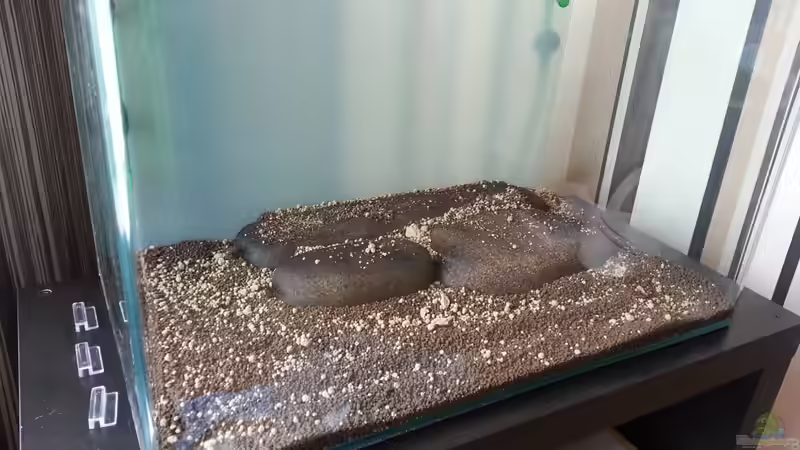 Aquarium Red/Blue/Green von Markus93 (3)